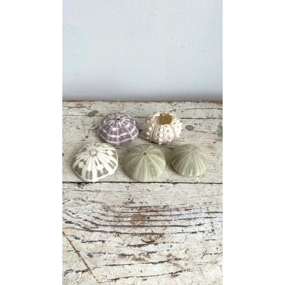 Unbranded set natural